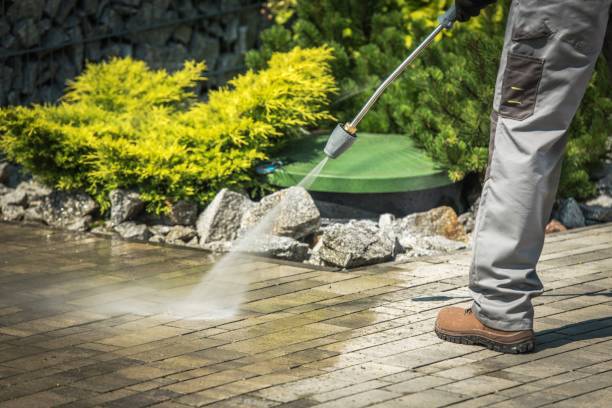 Best Solar Panel Cleaning  in Rosemead, CA